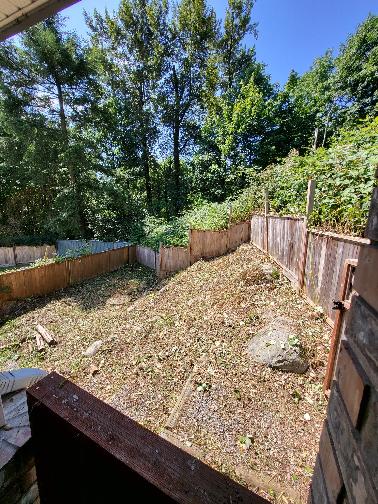 A yard entirely open and free of overgrowth after blackberry bush removal in Surrey, BC